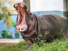 -乐和乐都主题乐园