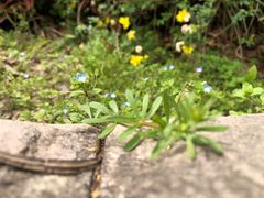 -苏州河梦清园环保主题公园