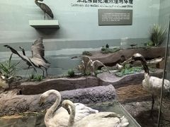 -大庆市博物馆