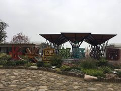 -上海长兴岛郊野公园