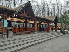 -合肥滨湖国家森林公园