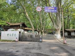 -灵谷景区