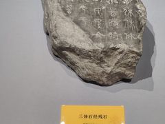 -西安碑林博物馆