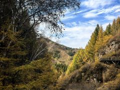 -苏木山森林公园