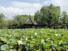 -上海醉白池公园