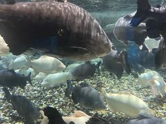 -成都浩海立方海洋公园