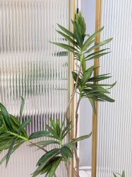 -四七美学·半永久纹眉