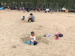 -东郊湿地公园