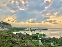 -海岛日记(养马岛店)