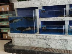 水产区-香山湖渔家大院