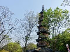 -上海佘山国家森林公园西佘山园