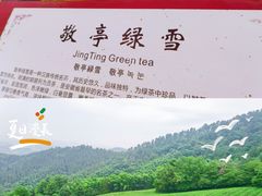 -敬亭山风景名胜区