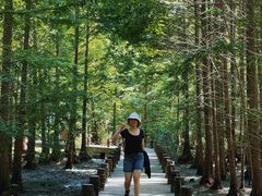 -桤木河湿地公园