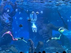 -波塞冬海底世界