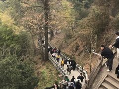 -九华山风景区