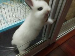 -雨林宠物医院 非犬猫异宠专科