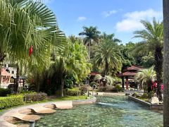 -罗浮山嘉宝田森林温泉度假酒店