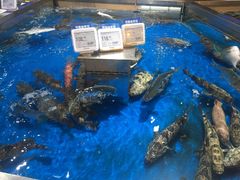 -盒马鲜生(悦峰店)