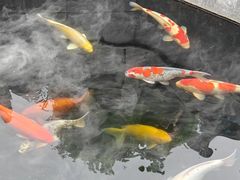 -西安市广仁寺