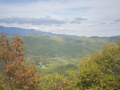-缙云山景区