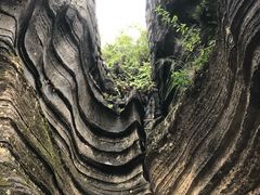 -梭布垭石林景区