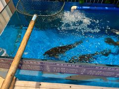 -老关东铁锅炖(上游街店)