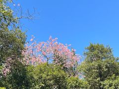 -广州市白云山风景名胜区
