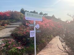-木兰云雾山