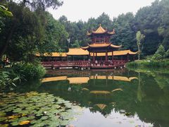 -铁山坪森林公园