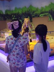 -未来动物城动物主题公园(大悦城店)