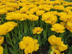 -玄武湖景区-情侣园游乐场