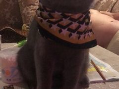 -熊姬手作茶物(汇金谷店)