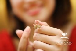 -威德钻石-克拉钻大本营(南京东路店)