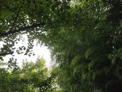 -九龙潭景区