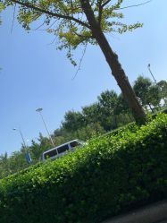 -HEYAN长风荷妍专业脱毛美肤
