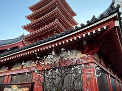 -浅草寺