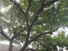 -张学良旧居陈列馆