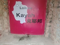 -瑞丽独树成林风景区