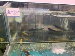 -胖姐渔村(中源大道店)