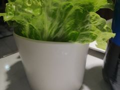 -古乐牛香·鲜牛肉牛杂火锅(千灯店)