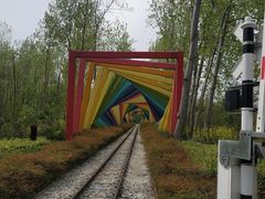 -合肥滨湖国家森林公园