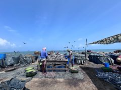 -尼甘布海鲜市场