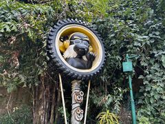 -西双版纳原始森林公园