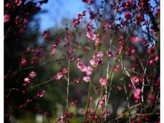 -桃花涧