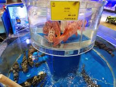 -新海渔港·胶东海鲜家常菜·家宴(奥体中心店)