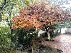 -西安市纺织公园