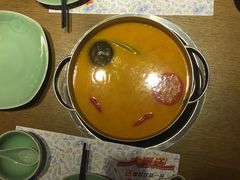 -海桐