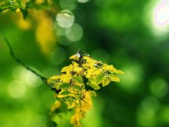 -华熙生物·润百颜ECM中心