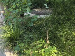 -首都医科大学附属北京友谊医院(西城院区)