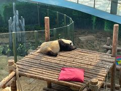 -大连森林动物园